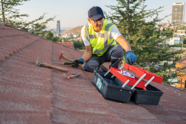 Best Hoarding Cleanup  in Locust Valley, NY